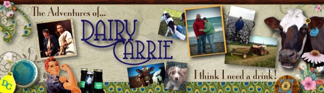 Dairy Carrie blog - a great place to look for simple, effective blogging topics